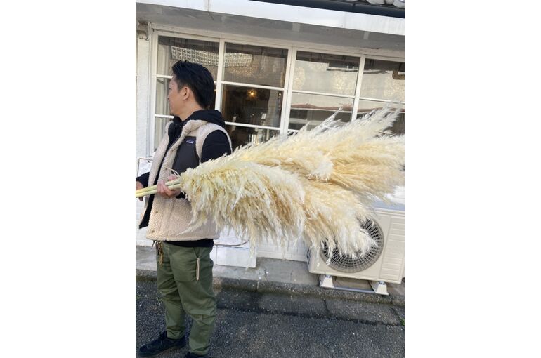 ドライフラワー